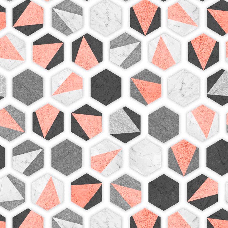 Hexagon 301